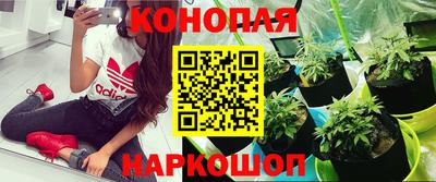 скорость Шебекино