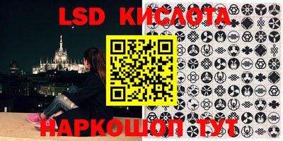 прущие грибы Шахты