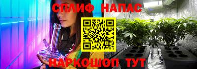 прущие грибы Шахты