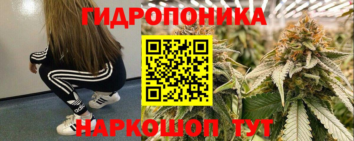 Марихуана Bruce Banner  Вход с VPN  Конопля Bruce Banner  Марихуана OG Kush  Каннабис семена  Волжский 